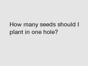 How many seeds should I plant in one hole?