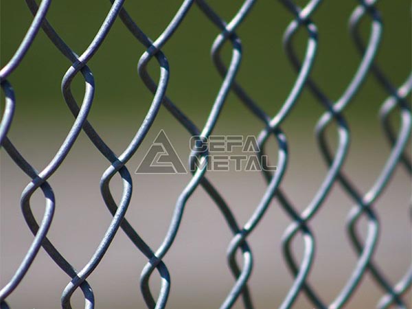 Chain Link VS Wood Fence